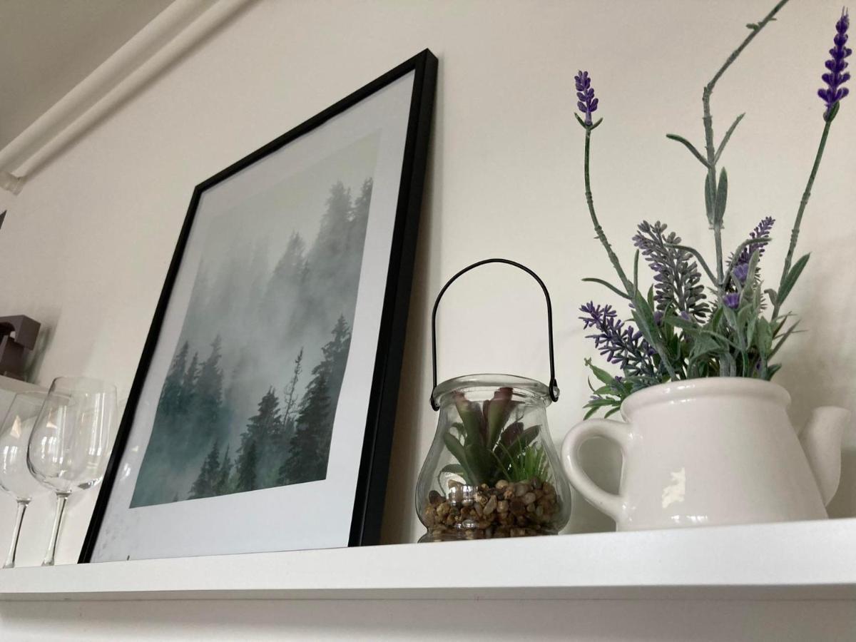 Apartament Miodowa 9 Zwierzyniec Zewnętrze zdjęcie