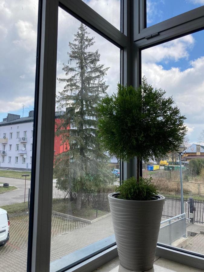 Apartament Miodowa 9 Zwierzyniec Zewnętrze zdjęcie